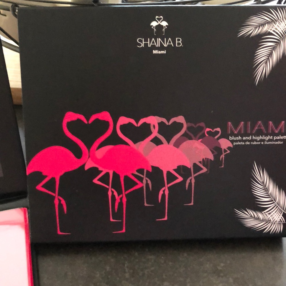 Shaina B blush and highlight palette